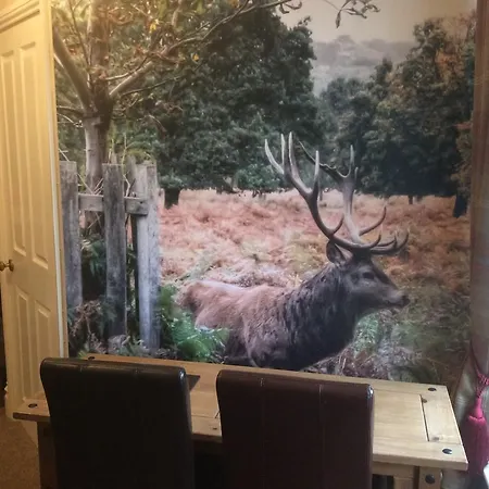 Anchorage House 3* ويتبي