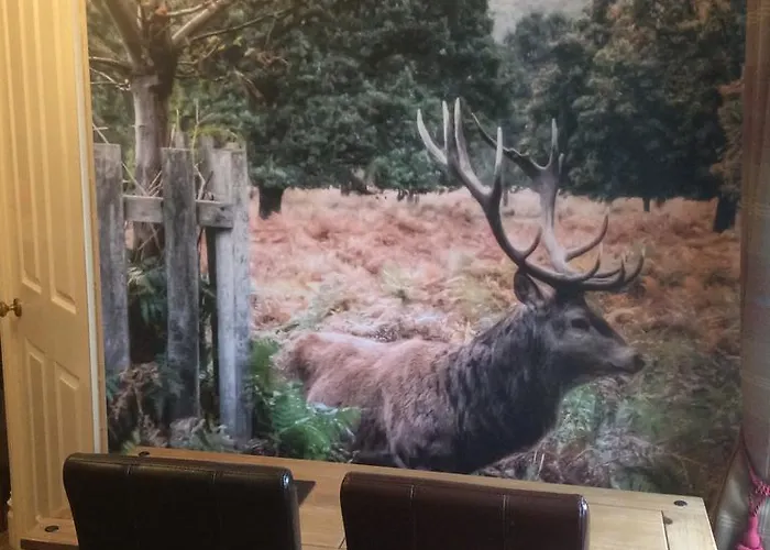 Anchorage House 3* Whitby